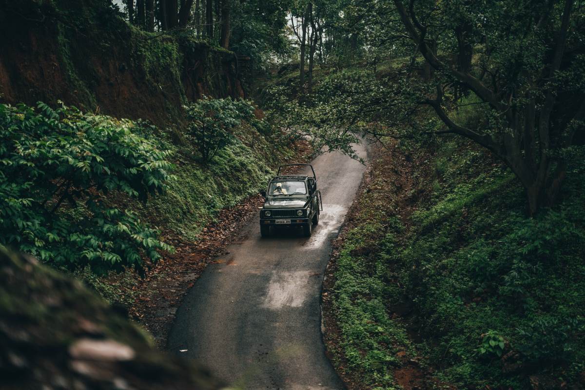 Sal Valley Safari